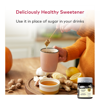 [Expiring in June 2027] Clover Honey 250g