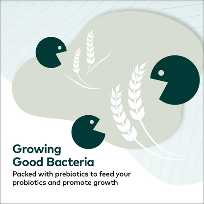 Probiotics Mānuka Honey, 15 sachets