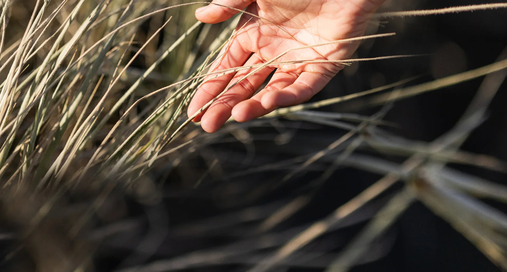 Hand through grass