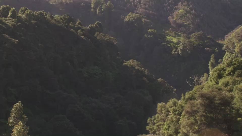 learn more about our b corp certification