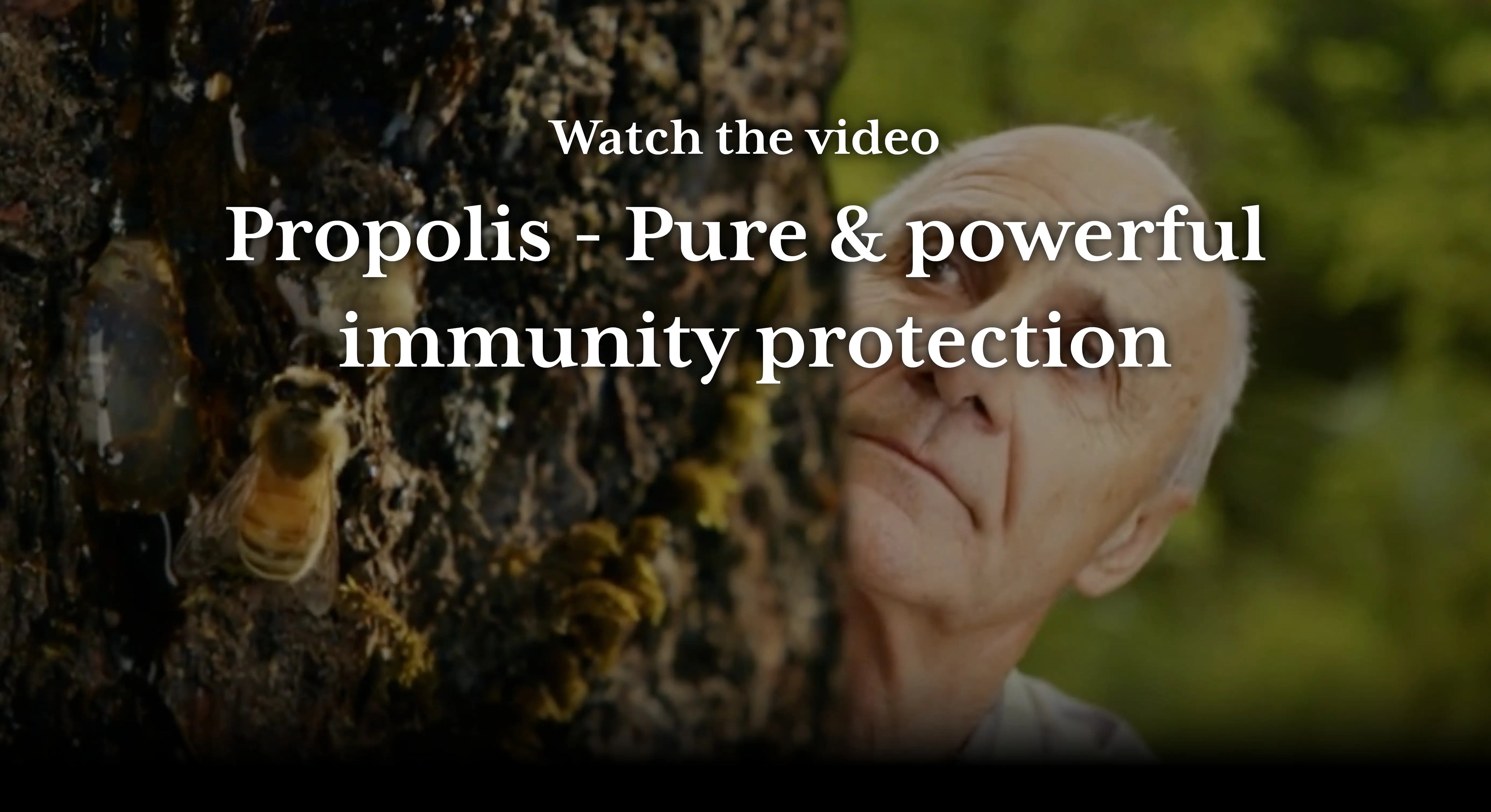 Load video: Propolis Video showing hives and our new product  range in use