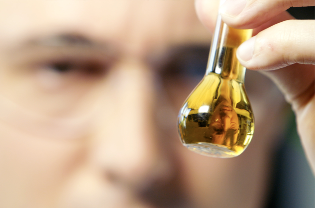 scientist examining honey