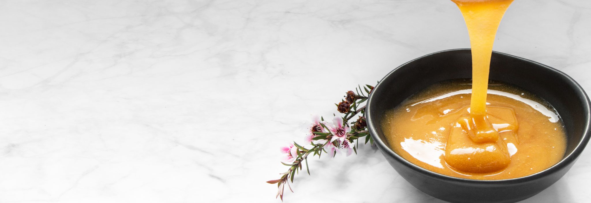 Normal Honey VS Manuka Honey Comvita